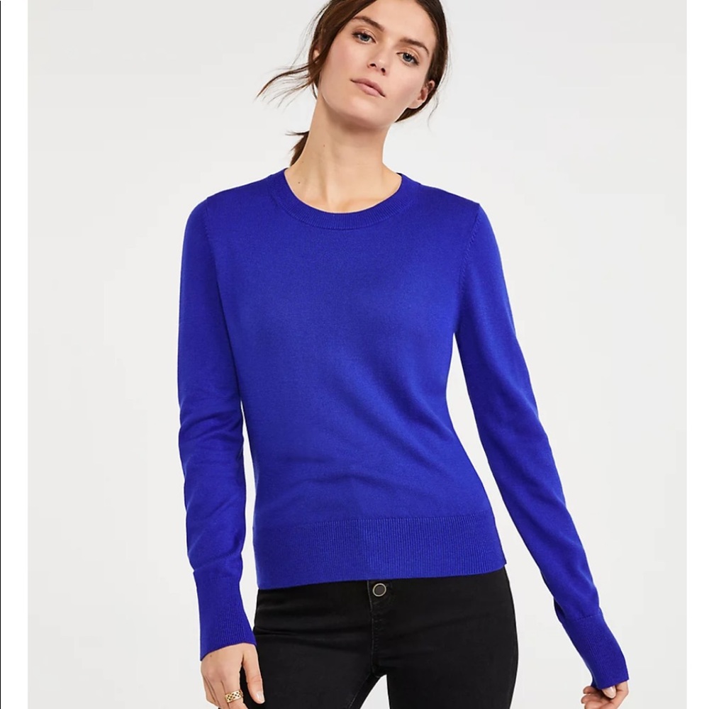 Ann Taylor Blue Sweater